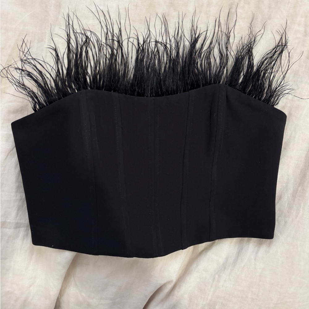 Zara Black Feather-Trim Bustier Top
